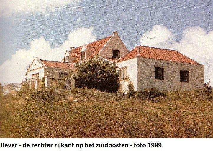 29. Bever rechter zijkant op het zuidoosten 1989